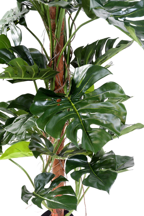 Kunstig Filodendron Plante Med Kokosnøddepæl 160 Cm