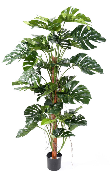 Kunstig Filodendron Plante Med Kokosnøddepæl 160 Cm