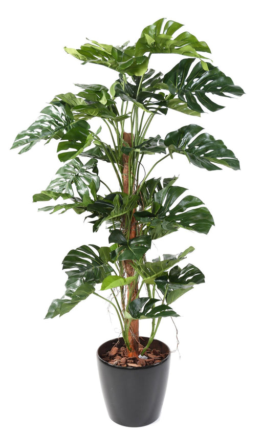 Kunstig Filodendron Plante Med Kokosnøddepæl 160 Cm