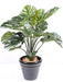 Kunstig Plante Giant Philodendron 110Cm Grøn