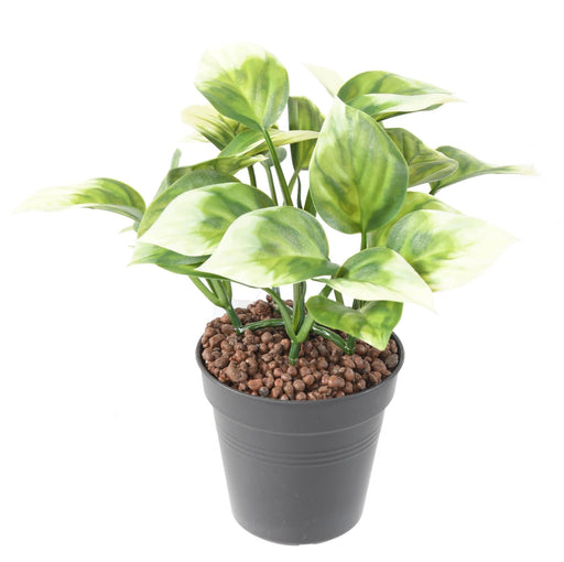 Kunstig Filodendron Plante Til Udendørs Dekoration
