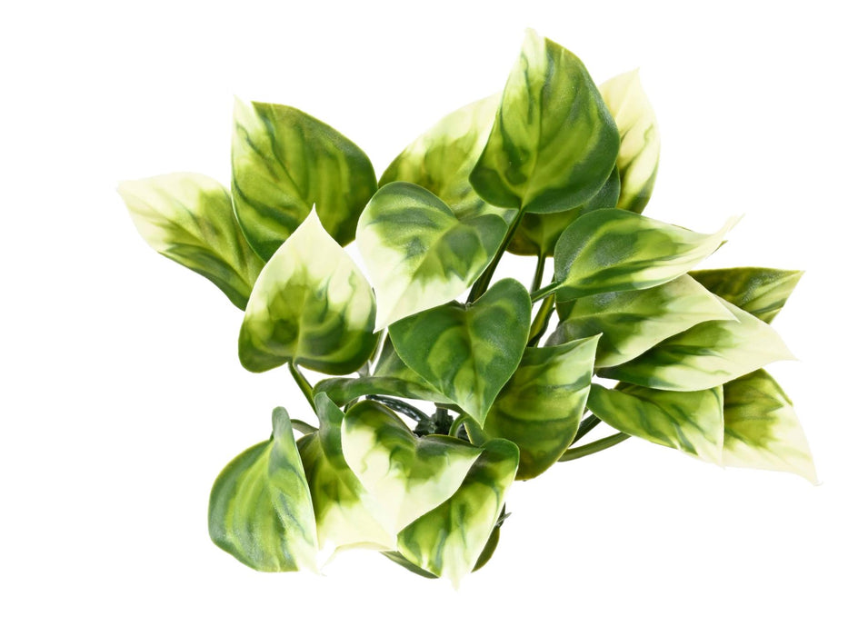 Kunstig Filodendron Plante Til Udendørs Dekoration