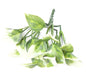 Kunstig Filodendron Plante Til Udendørs Dekoration