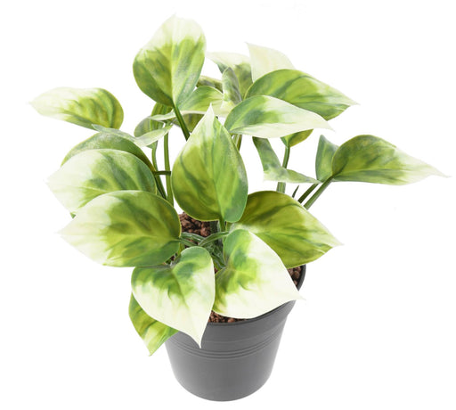 Kunstig Filodendron Plante Til Udendørs Dekoration