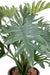 Kunstig Plante Philodendron Selloum 50Cm Grøn