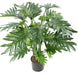 Kunstig Plante Grøn Philodendron H.63Cm
