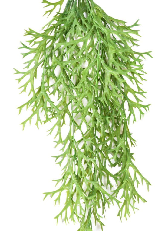 Kunstig Plante Platycerium 80 Cm Grøn