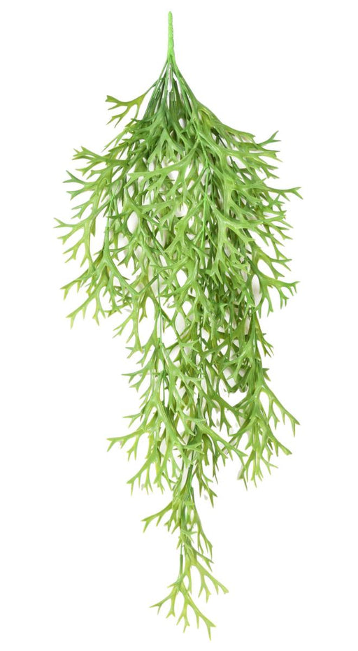Kunstig Plante Platycerium 80 Cm Grøn