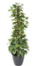 Kunstig Pothos Plantepæl 130 Cm Grøn