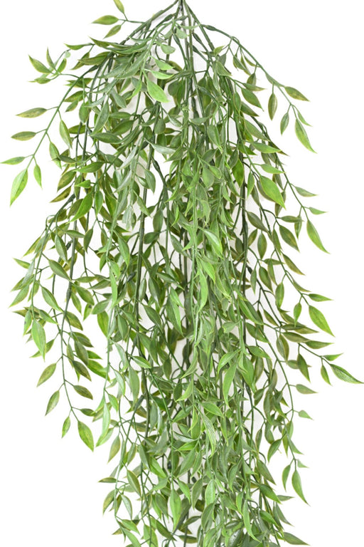 Kunstig Plante Ruscus H.65Cm Til Indendørs