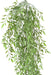 Kunstig Plante Ruscus H.65Cm Til Indendørs