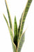 Kunstig Plante Sansevieria 105Cm Indendørs Grøn Gul