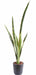 Kunstig Plante Sansevieria 105Cm Indendørs Grøn Gul