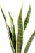 Kunstig Plante Sansevieria 60Cm Interiørdekoration