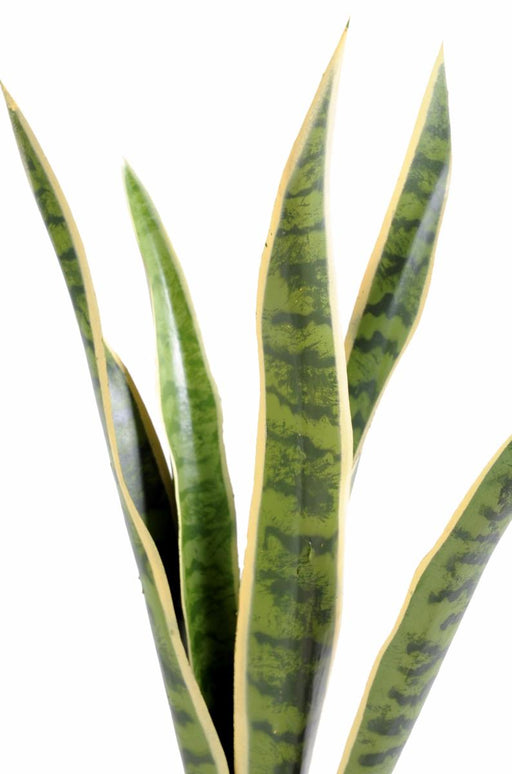 Kunstig Plante Sansevieria 60Cm Interiørdekoration