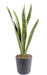 Kunstig Plante Sansevieria 60Cm Interiørdekoration