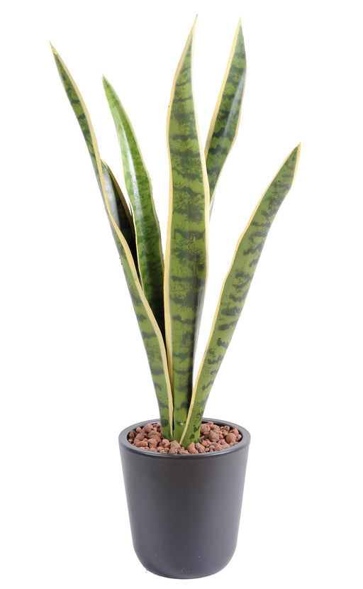Kunstig Plante Sansevieria 60Cm Interiørdekoration