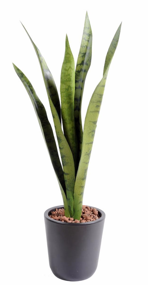 Kunstig Plante Sansevieria 60Cm Til Indendørs