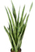 Kunstig Plante Sansevieria 85 Cm Grønne Blade