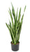 Kunstig Plante Sansevieria 85 Cm Grønne Blade