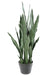 Kunstig Plante Sansevieria 85 Cm Grønne Blade