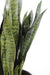 Kunstig Plante Sansevieria 93 Cm Indvendig Dekoration