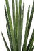 Kunstig Plante Sansevieria Cylindrisk 90 Cm