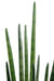 Kunstig Plante Sansevieria Cylindrisk 90 Cm