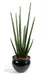Kunstig Plante Sansevieria Cylindrisk 90 Cm