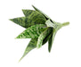 Kunstig Sansevieria Plante Indendørs 35Cm Lysegrøn