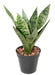 Kunstig Sansevieria Plante Indendørs 35Cm Lysegrøn