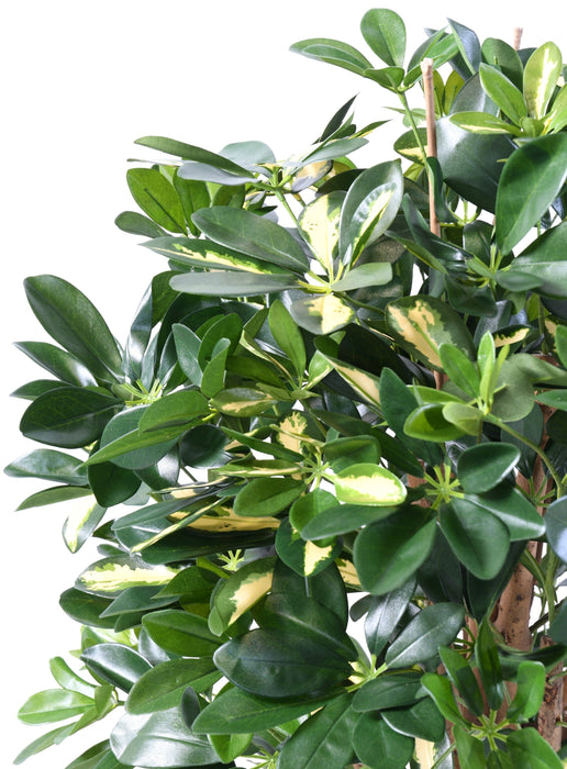 Kunstig Plante Schefflera 110Cm Indvendig Dekoration