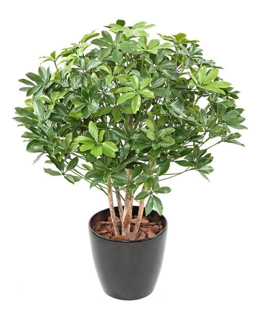 Kunstig Plante Schefflera 90Cm Til Udendørs