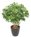 Kunstig Plante Schefflera 90Cm Til Udendørs