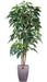 Kunstig Plante Schefflera Amata 180Cm Indendørs