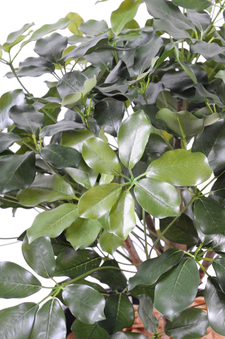 Kunstig Plante Schefflera H.90Cm Til Dekoration
