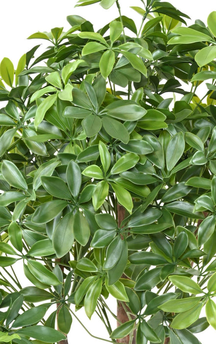 Kunstig Plante Schefflera Uv Til Udendørs 110Cm