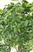 Kunstig Plante Schefflera Uv Til Udendørs 110Cm