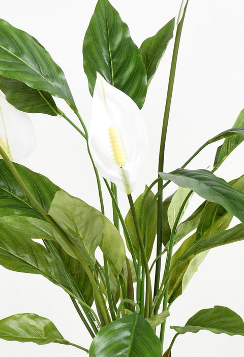 Kunstig Spathiphyllum Plante Med Hvide Blomster