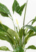 Kunstig Spathiphyllum Plante Med Hvide Blomster