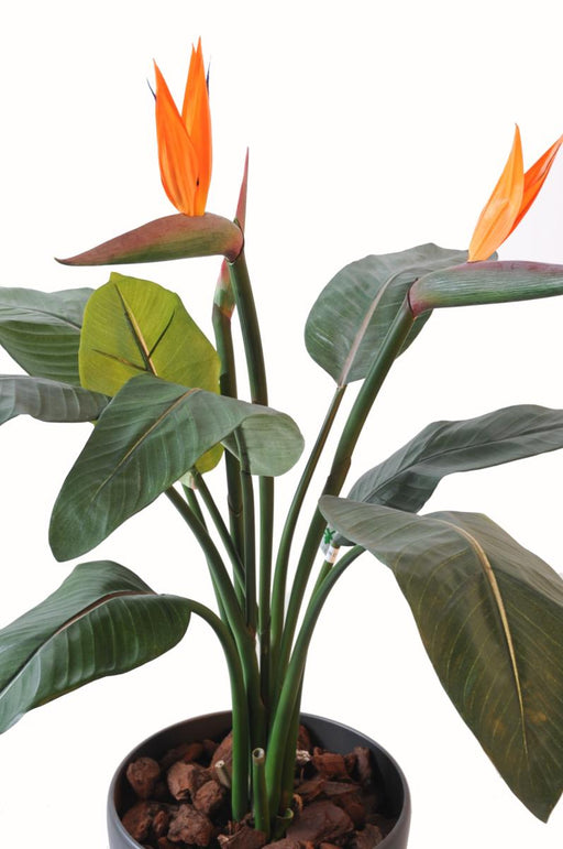 Kunstig Plante Strelitzia 2 Blomster Dekoration H.85Cm
