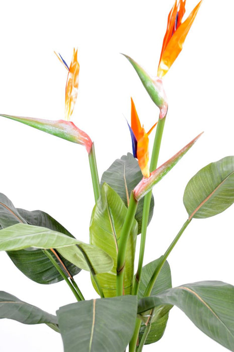 Kunstig Strelitzia Plante Med Orange Blomster 98Cm