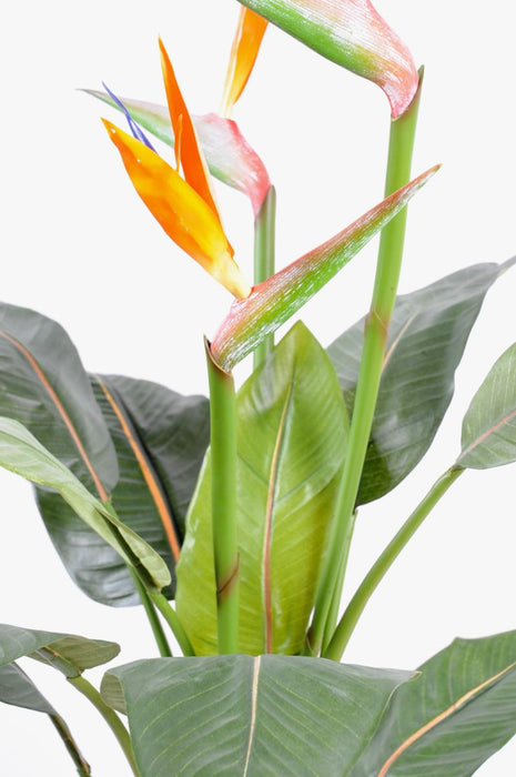 Kunstig Strelitzia Plante Med Orange Blomster 98Cm