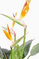 Kunstig Strelitzia Plante Med Orange Blomster 98Cm