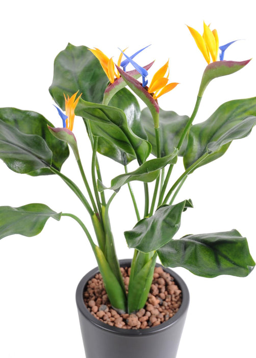Kunstig Plante Strelitzia UV-Resistent 50Cm