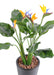 Kunstig Plante Strelitzia UV-Resistent 50Cm