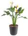 Kunstig Plante Strelitzia UV-Resistent 50Cm