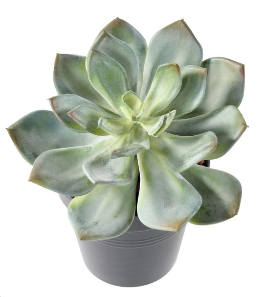 Kunstig Sukkulent Plante Kaktus Indendørs 12Cm