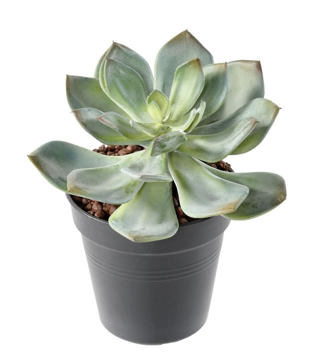 Kunstig Sukkulent Plante Kaktus Indendørs 12Cm