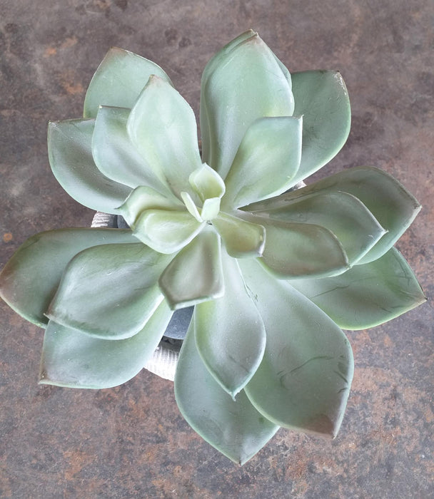 Kunstig Sukkulent Plante Kaktus Indendørs 12Cm